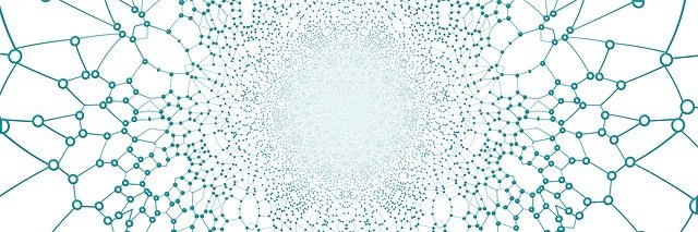 netzwerk